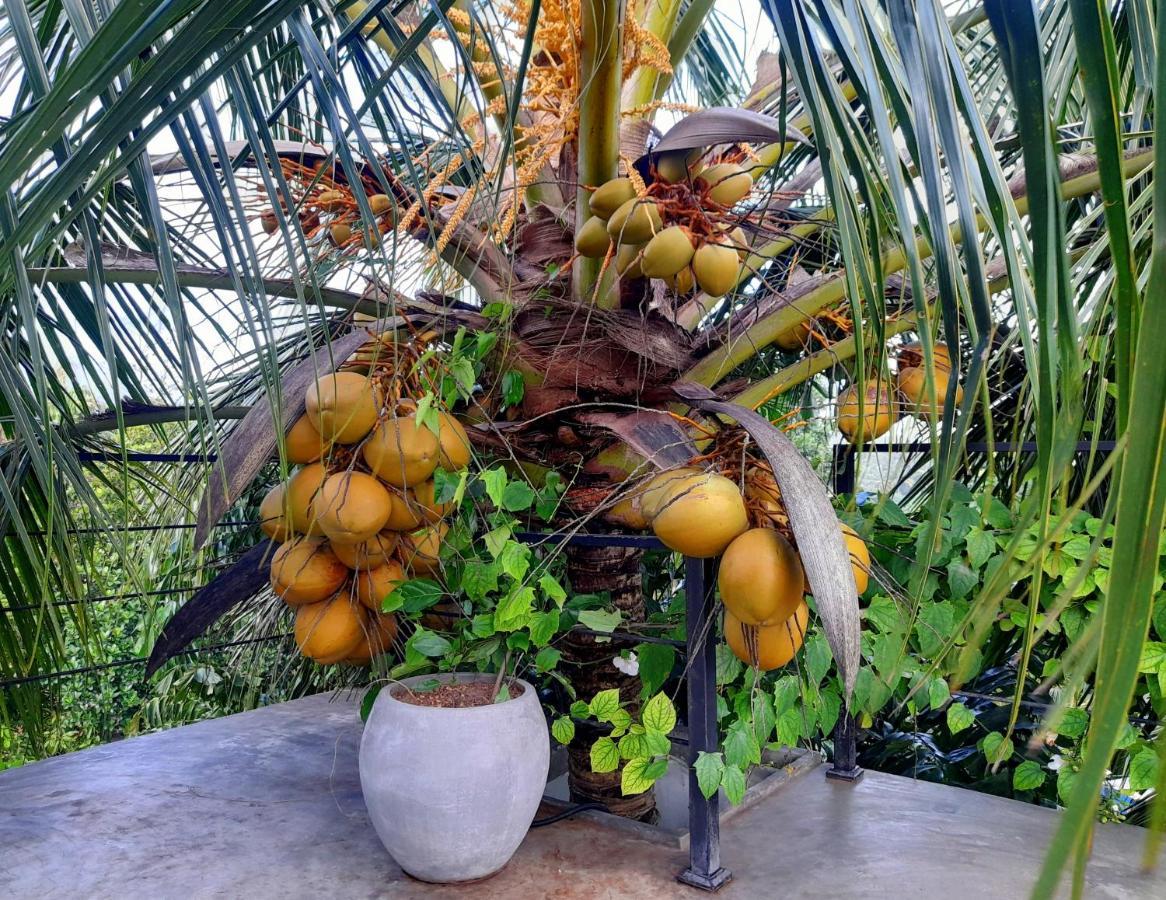 Weligama Bay Watsila Resort 외부 사진